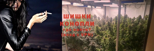стаф Белоозёрский