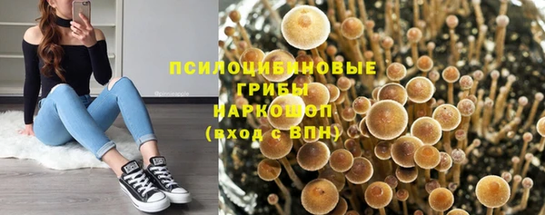 mdma Богданович
