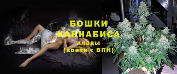 Альфа ПВП Богородицк
