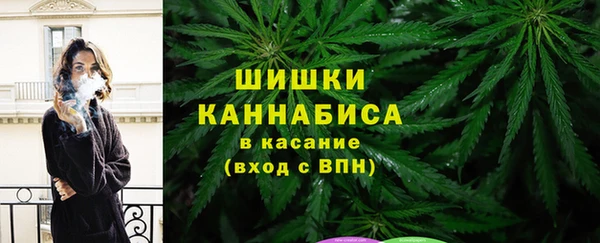Альфа ПВП Богородицк