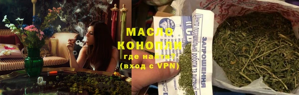 дживик Надым