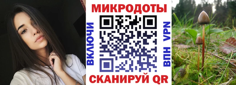 Псилоцибиновые грибы MAGIC MUSHROOMS  маркетплейс состав  Ковдор  мега вход 